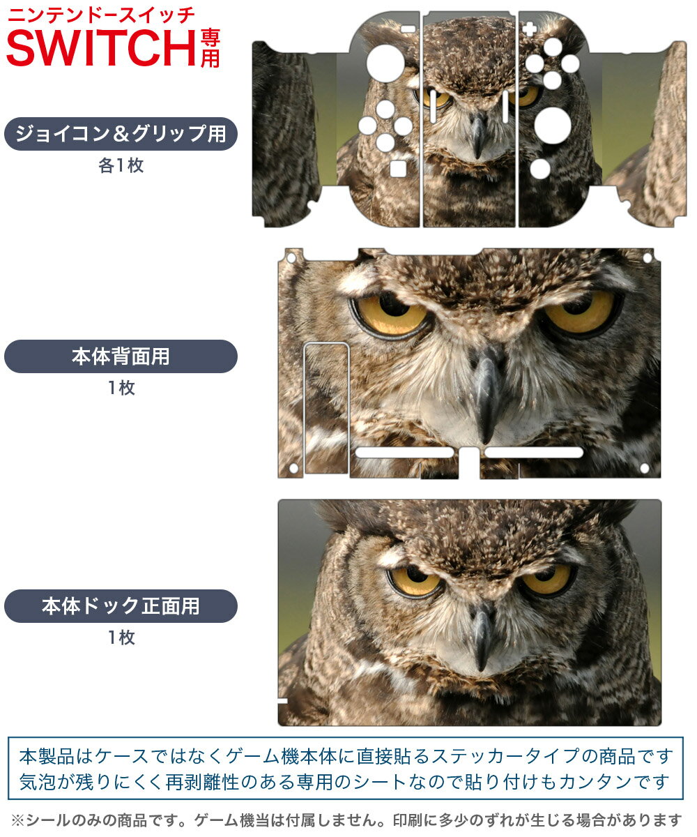igsticker Nintendo Switch 用 デザインスキンシール 任天堂 ニンテンドー スイッチ 専用 本体ドック Joy-Con Joycon ジョイコン 専用 ゲーム機 カバー アクセサリー フィルム ステッカー 016308 フクロウ　写真
