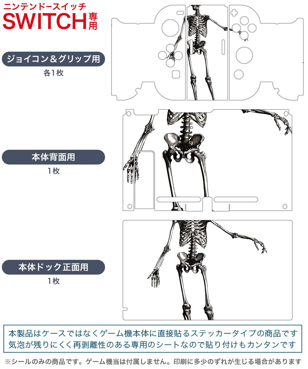 igsticker Nintendo Switch 用 デザインスキンシール 任天堂 ニンテンドー スイッチ 専用 本体ドック Joy-Con Joycon ジョイコン 専用 ゲーム機 カバー アクセサリー フィルム ステッカー 017480 ハロウィン　ホラー リアル　骸骨　ガイコツ　ホラー