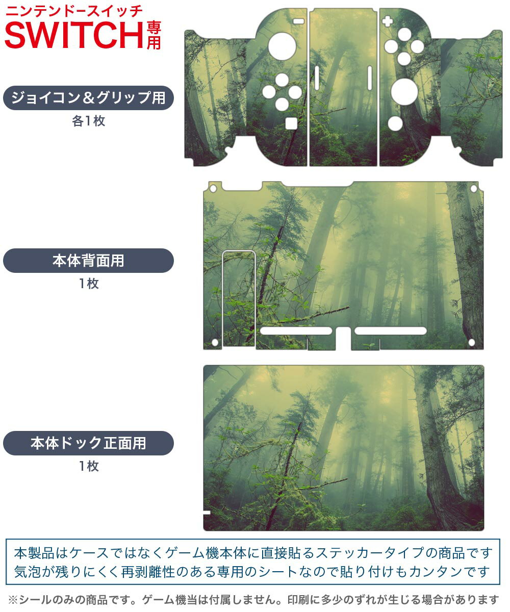 igsticker Nintendo Switch 用 デザインスキンシール 任天堂 ニンテンドー スイッチ 専用 本体ドック Joy-Con Joycon ジョイコン 専用 ゲーム機 カバー アクセサリー フィルム ステッカー 018322 森 写真