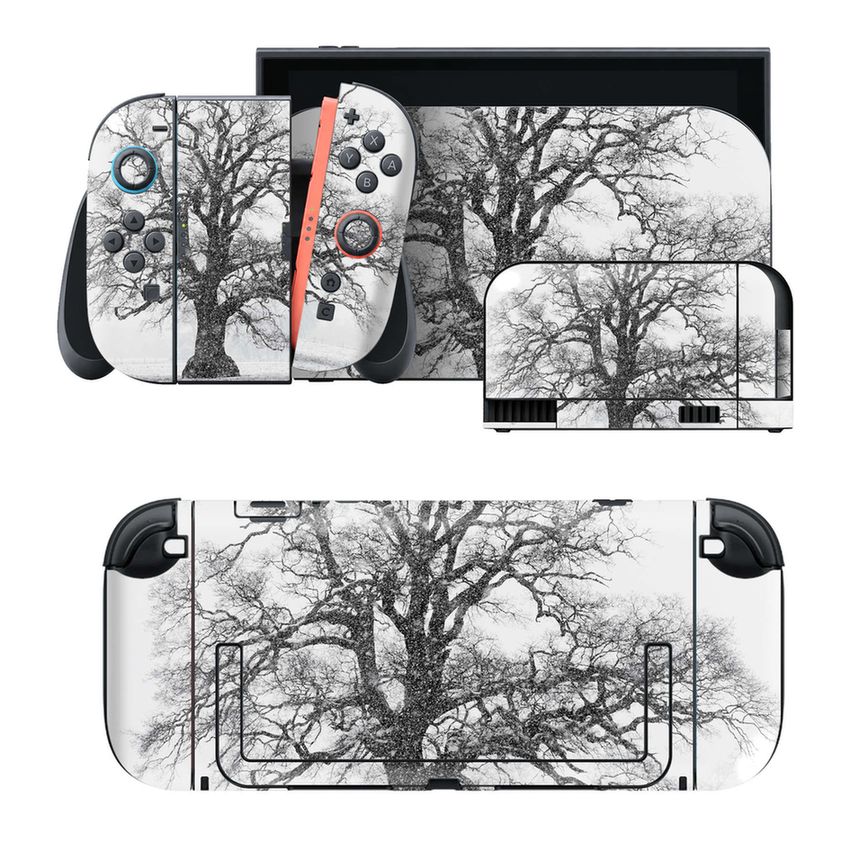 Nintendo Switch 2 用のデザインスキンシール。本体裏面・ドック正面・ドック側面・Joy-Con 2 用の4面セット。20,000柄以上から選べる、貼るデザイン。
