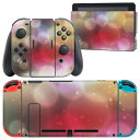 igsticker Nintendo Switch 用 デザインスキンシール 任天堂 ニンテンドー スイッチ 専用 本体ドック Joy-Con Joycon ジョイコン 専用 ゲーム機 カバー アクセサリー フィルム ステッカー 002016 シンプル　カラフル