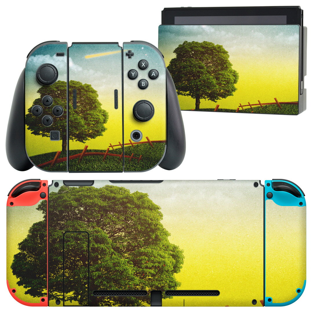 igsticker Nintendo Switch 用 デザインスキンシール 任天堂 ニンテンドー スイッチ 専用 本体ドック Joy-Con Joycon ジョイコン 専用 ゲーム機 カバー アクセサリー フィルム ステッカー 002555 景色　風景　イラスト