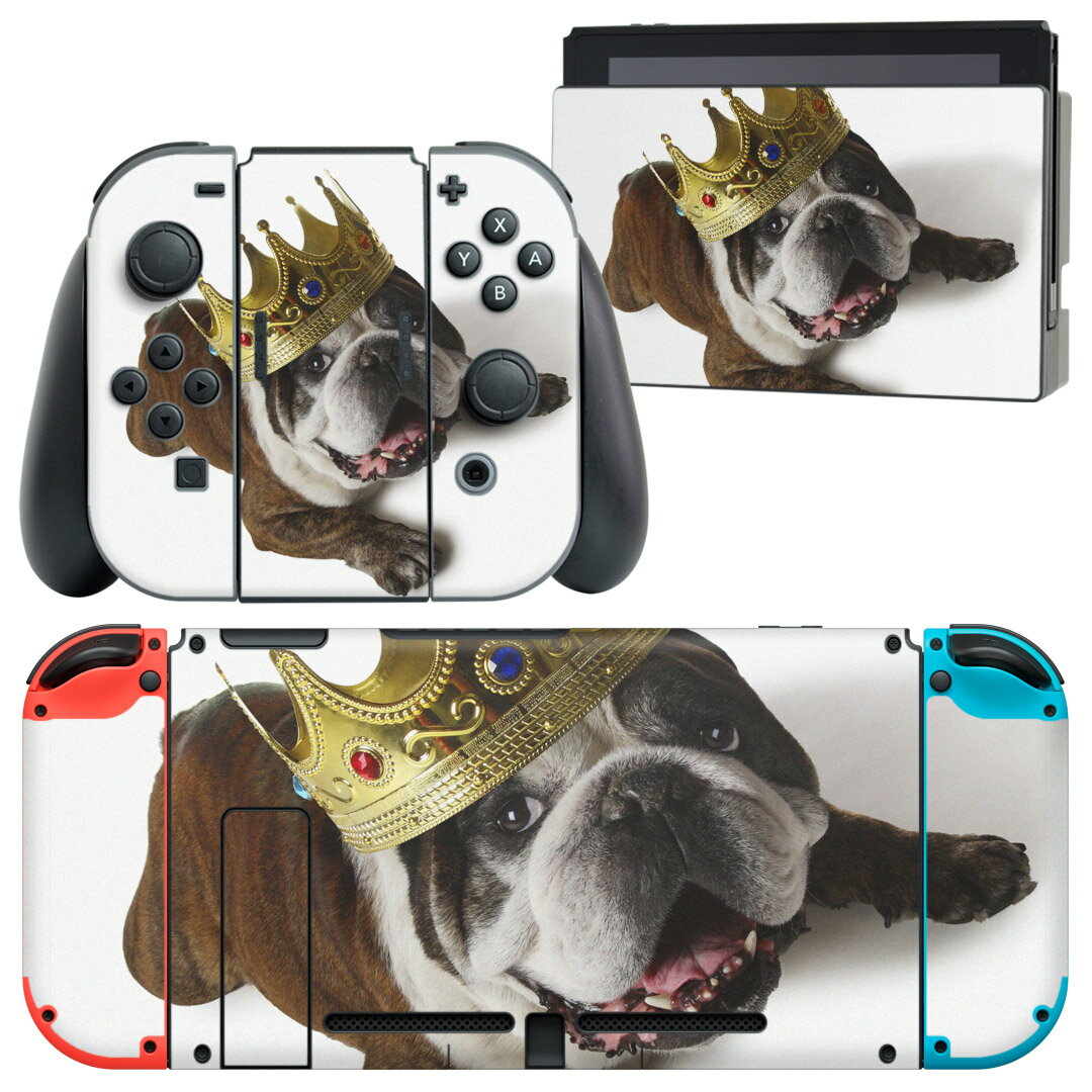 igsticker Nintendo Switch 用 デザインスキンシール 任天堂 ニンテンドー スイッチ 専用 本体ドック Joy-Con Joycon ジョイコン 専用 ゲーム機 カバー アクセサリー フィルム ステッカー 002573 犬　動物　写真