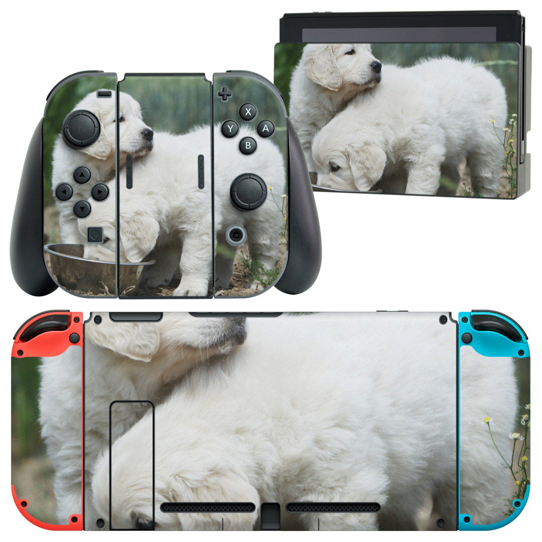 igsticker Nintendo Switch 用 デザインスキンシール 任天堂 ニンテンドー スイッチ 専用 本体ドック Joy-Con Joycon ジョイコン 専用 ゲーム機 カバー アクセサリー フィルム ステッカー 002577