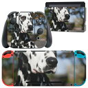 igsticker Nintendo Switch 用 デザインスキンシール 任天堂 ニンテンドー スイッチ 専用 本体ドック Joy-Con Joycon ジョイコン 専用 ゲーム機 カバー アクセサリー フィルム ステッカー 002587 犬 動物 写真(2)