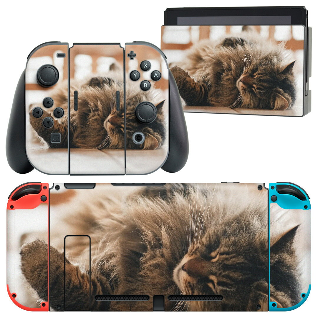 igsticker Nintendo Switch 用 デザインスキンシール 任天堂 ニンテンドー スイッチ 専用 本体ドック Joy-Con Joycon ジョイコン 専用 ゲーム機 カバー アクセサリー フィルム ステッカー 002601 猫　動物　写真