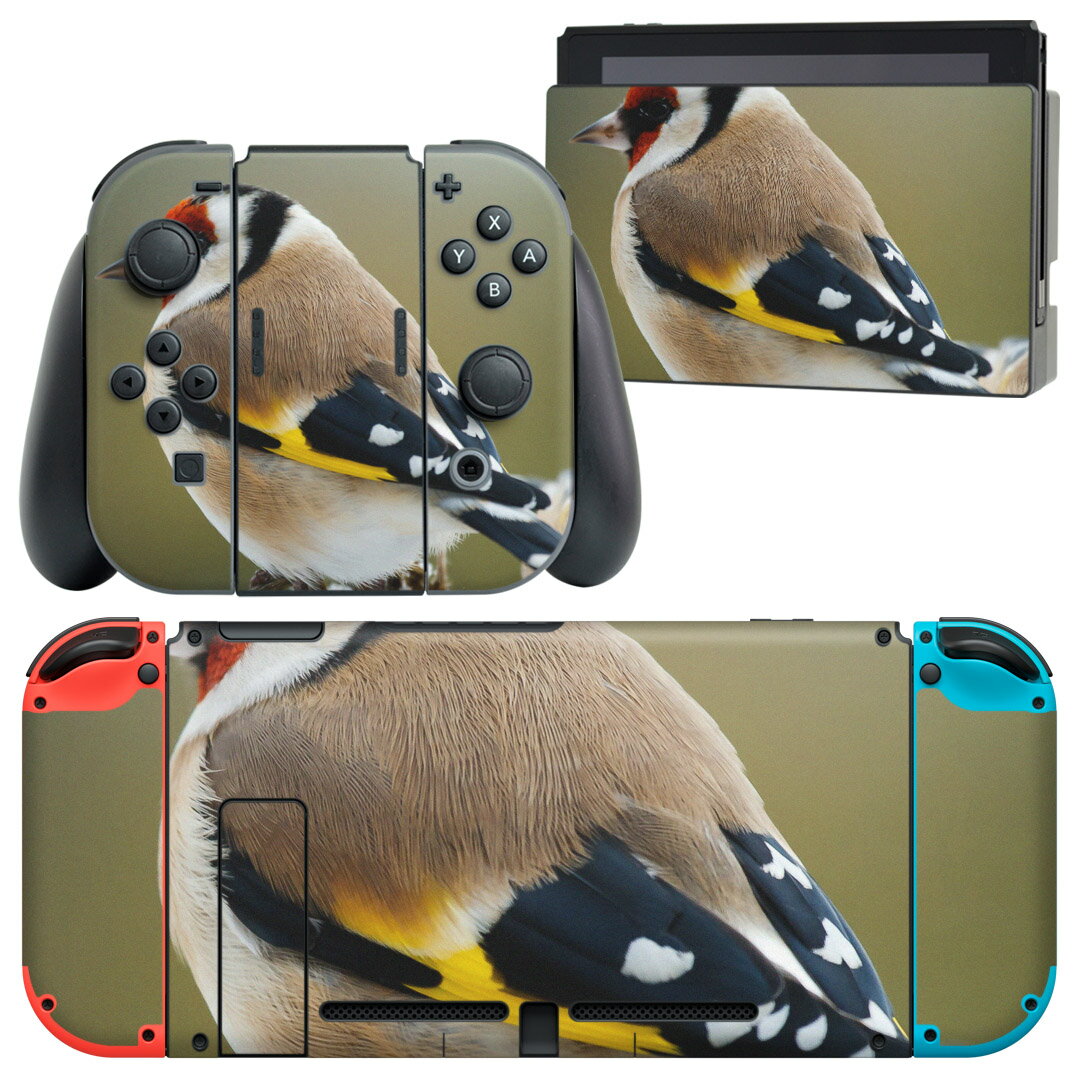 igsticker Nintendo Switch 用 デザインスキンシール 任天堂 ニンテンドー スイッチ 専用 本体ドック Joy-Con Joycon ジョイコン 専用 ゲーム機 カバー アクセサリー フィルム ステッカー 002605 鳥 動物 写真