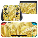 igsticker Nintendo Switch 用 デザインスキンシール 任天堂 ニンテンドー スイッチ 専用 本体ドック Joy-Con Joycon ジョイコン 専用 ゲーム機 カバー アクセサリー フィルム ステッカー 002621 写真 秋 景色