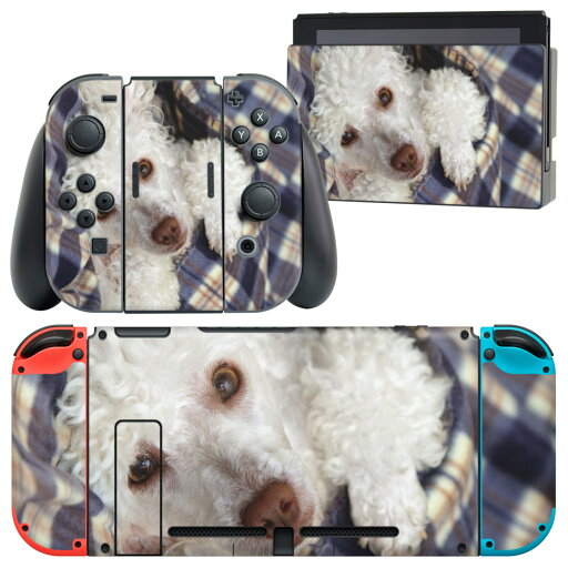 igsticker Nintendo Switch 用 デザインスキンシール 任天堂 ニンテンドー スイッチ 専用 本体ドック Joy-Con Joycon ジョイコン 専用 ゲーム機 カバー アクセサリー フィルム ステッカー 002622 犬 動物 写真 igsticker Nintendo Switch 用 デザインスキンシール 任天堂 ニンテンドー スイッチ 専用 本体ドック Joy-Con Joycon ジョイコン 専用 ゲーム機 カバー アクセサリー フィルム ステッカー 002622 犬 動物 写真