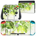igsticker Nintendo Switch 用 デザインスキンシール 任天堂 ニンテンドー スイッ...