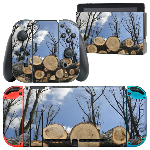 igsticker Nintendo Switch 用 デザインスキンシール 任天堂 ニンテンドー スイッチ 専用 本体ドック Joy-Con Joycon ジョイコン 専用 ゲーム機 カバー アクセサリー フィルム ステッカー 002647 景色 風景 写真 igsticker Nintendo Switch 用 デザインスキンシール 任天堂 ニンテンドー スイッチ 専用 本体ドック Joy-Con Joycon ジョイコン 専用 ゲーム機 カバー アクセサリー フィルム ステッカー 002647 景色 風景 写真