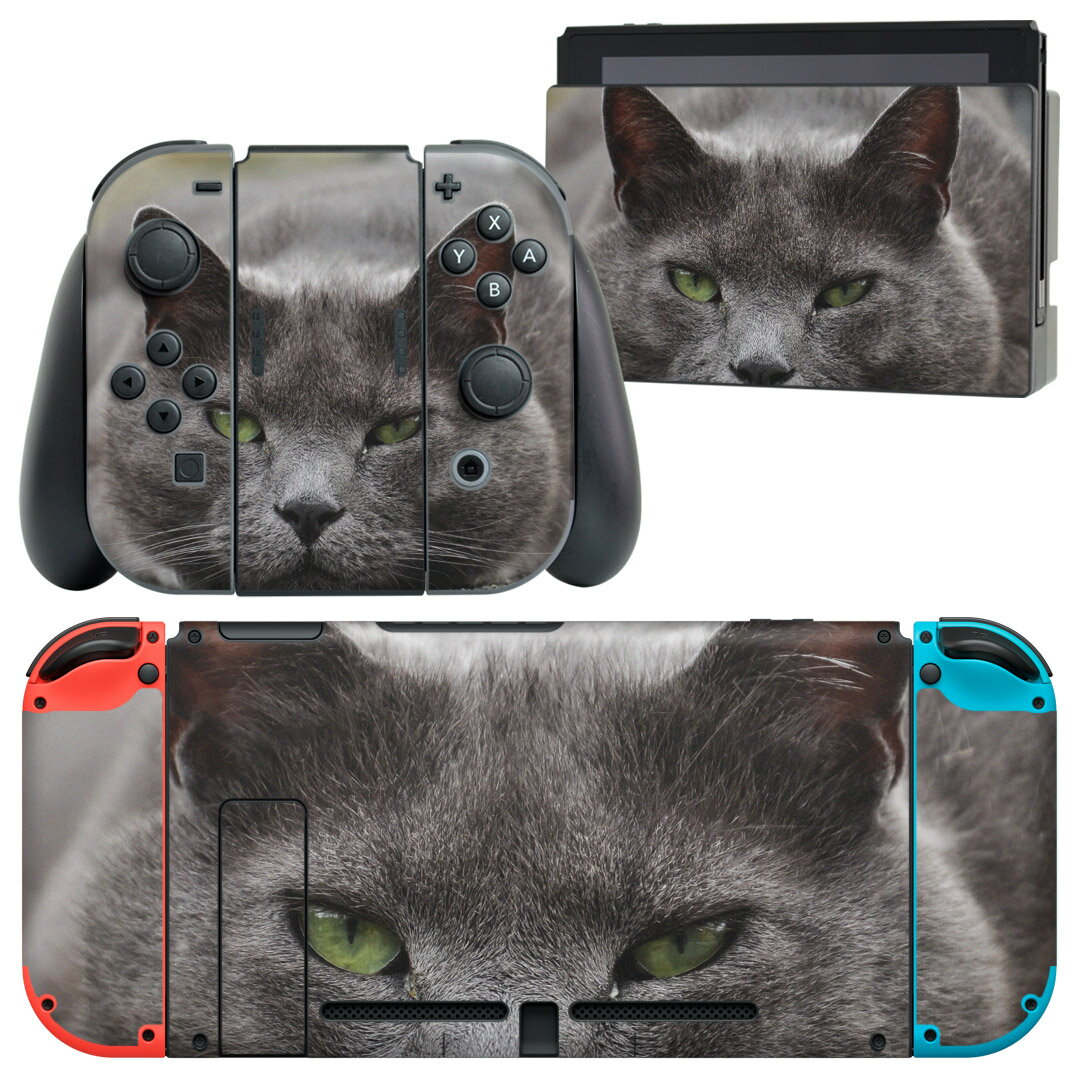 igsticker Nintendo Switch 用 デザインスキンシール 任天堂 ニンテンドー スイッチ 専用 本体ドック Joy-Con Joycon ジョイコン 専用 ..