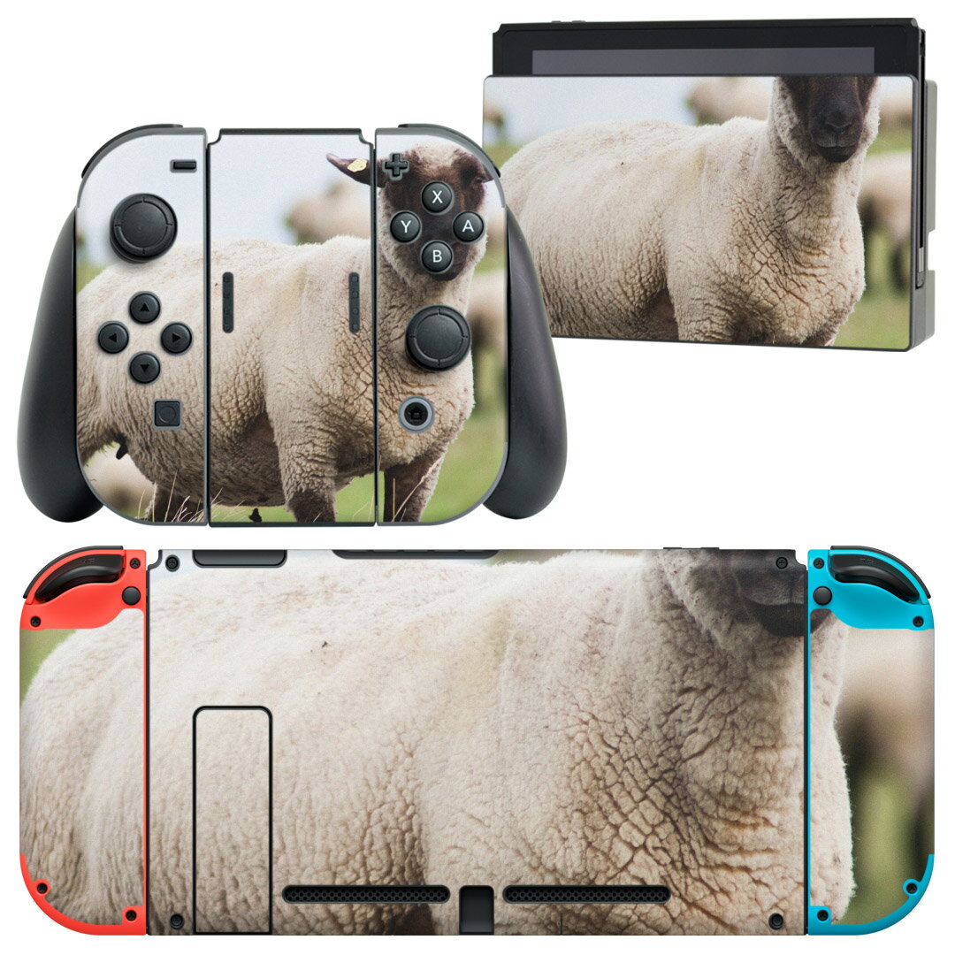 igsticker Nintendo Switch 用 デザインスキンシール 任天堂 ニンテンドー スイッチ 専用 本体ドック Joy-Con Joycon ジョイコン 専用 ゲーム機 カバー アクセサリー フィルム ステッカー 002653 ひつじ 動物 写真