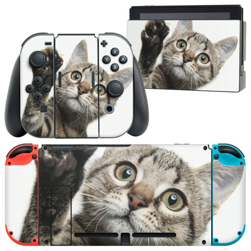 igsticker Nintendo Switch 用 デザインスキンシール 任天堂 ニンテンドー スイッチ 専用 本体ドック Joy-Con Joycon ジョイコン 専用 ゲーム機 カバー アクセサリー フィルム ステッカー 002674 猫 動物 写真