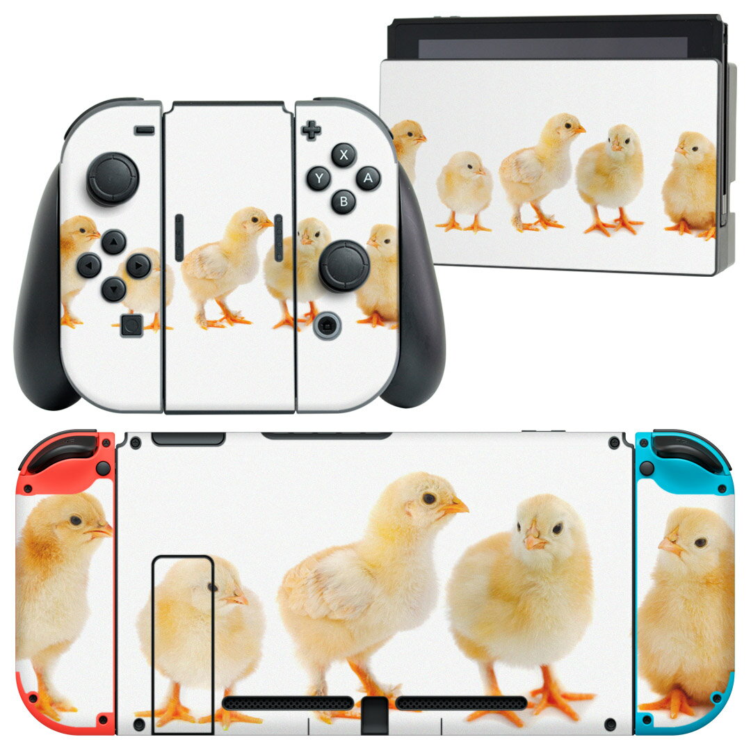 igsticker Nintendo Switch 用 デザインスキンシール 任天堂 ニンテンドー スイッチ 専用 本体ドック Joy-Con Joycon ジョイコン 専用 ゲーム機 カバー アクセサリー フィルム ステッカー 002715 鳥　動物　写真
