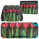 igsticker Nintendo Switch 用 デザインスキンシール 任天堂 ニンテンドー スイッチ 専用 本体ドック Joy-Con Joycon ジョイコン 専用 ゲーム機 カバー アクセサリー フィルム ステッカー 002731 花 チューリップ 写真
