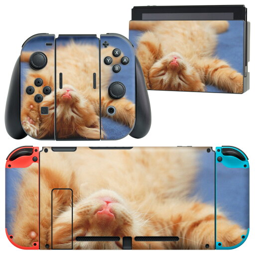 igsticker Nintendo Switch 用 デザインスキンシール 任天堂 ニンテンドー スイッチ 専用 本体ドック Joy-Con Joycon ジョイコン 専用 ゲーム機 カバー アクセサリー フィルム ステッカー 002759 猫 動物 写真 igsticker Nintendo Switch 用 デザインスキンシール 任天堂 ニンテンドー スイッチ 専用 本体ドック Joy-Con Joycon ジョイコン 専用 ゲーム機 カバー アクセサリー フィルム ステッカー 002759 猫 動物 写真