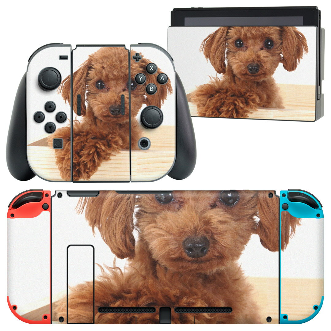 igsticker Nintendo Switch 用 デザインスキンシール 任天堂 ニンテンドー スイッチ 専用 本体ドック Joy-Con Joycon ジョイコン 専用 ゲーム機 カバー アクセサリー フィルム ステッカー 002769 犬 動物 写真