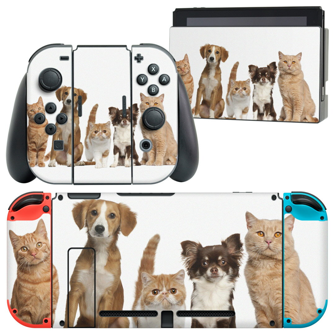 igsticker Nintendo Switch 用 デザインスキンシール 任天堂 ニンテンドー スイッチ 専用 本体ドック Joy-Con Joycon ジョイコン 専用 ゲーム機 カバー アクセサリー フィルム ステッカー 002789 犬 猫 動物 写真