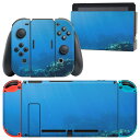 igsticker Nintendo Switch 用 デザインスキンシール 任天堂 ニンテンドー スイッチ 専用 本体ドック Joy-Con Joycon ジョイコン 専用 ゲーム機 カバー アクセサリー フィルム ステッカー 002834 海　写真