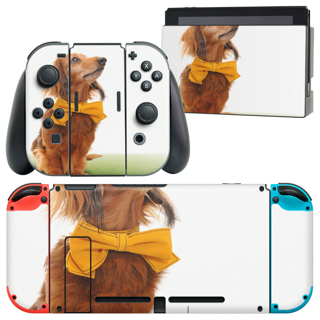igsticker Nintendo Switch 用 デザインスキンシール 任天堂 ニンテンドー スイッチ 専用 本体ドック Joy-Con Joycon ジョイコン 専用 ゲーム機 カバー アクセサリー フィルム ステッカー 002852 犬　動物　写真