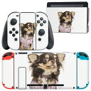 igsticker Nintendo Switch 用 デザインスキンシール 任天堂 ニンテンドー スイッチ 専用 本体ドック Joy-Con Joycon ジョイコン 専用 ゲーム機 カバー アクセサリー フィルム ステッカー 002884 犬　動物　写真