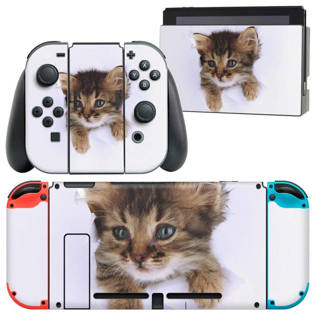 igsticker Nintendo Switch 用 デザインスキンシール 任天堂 ニンテンドー スイッチ 専用 本体ドック Joy-Con Joycon ジョイコン 専用 ゲーム機 カバー アクセサリー フィルム ステッカー 002892 猫 動物 写真