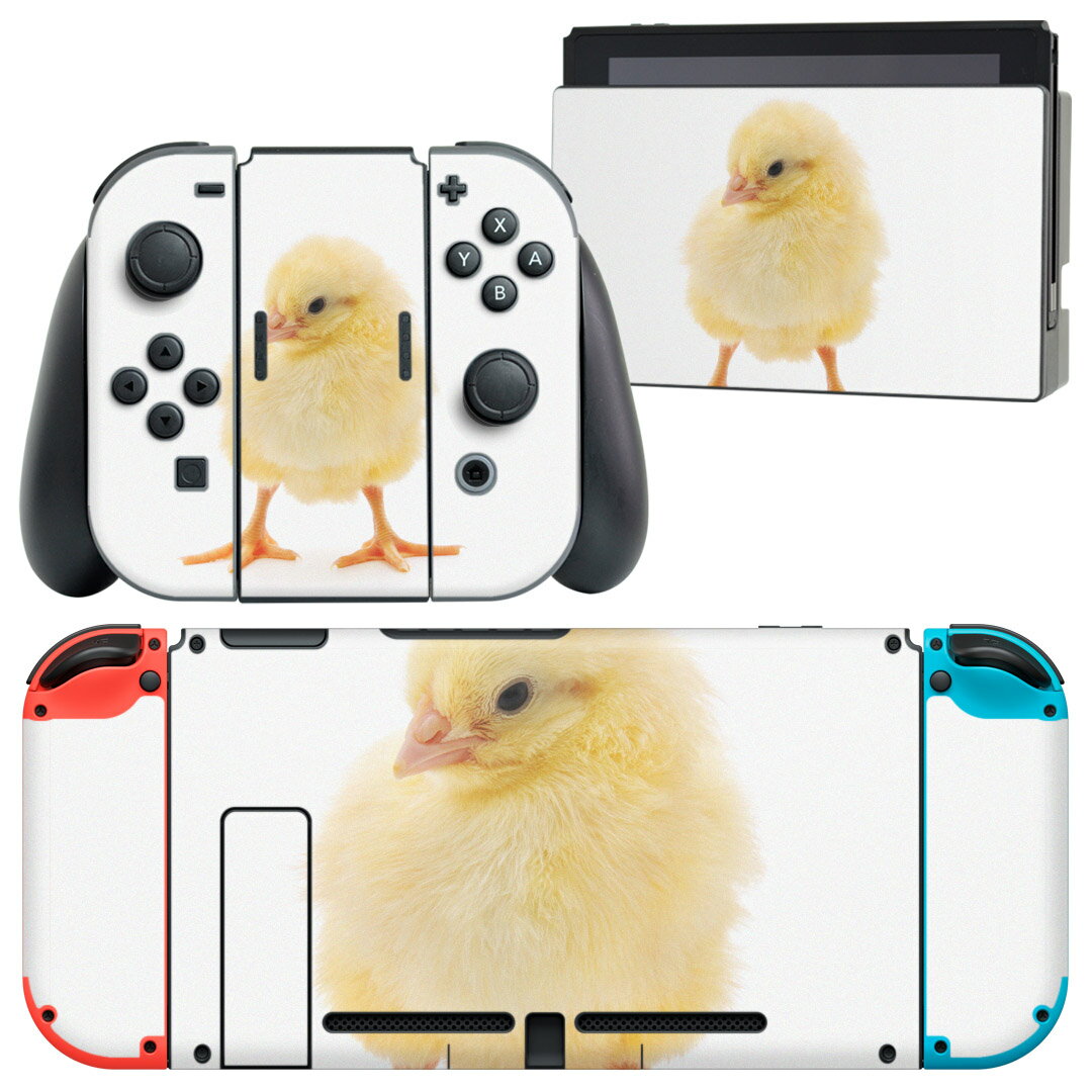 igsticker Nintendo Switch 用 デザインスキンシール 任天堂 ニンテンドー スイッチ 専用 本体ドック Joy-Con Joycon ジョイコン 専用 ゲーム機 カバー アクセサリー フィルム ステッカー 002923 鳥　動物　写真