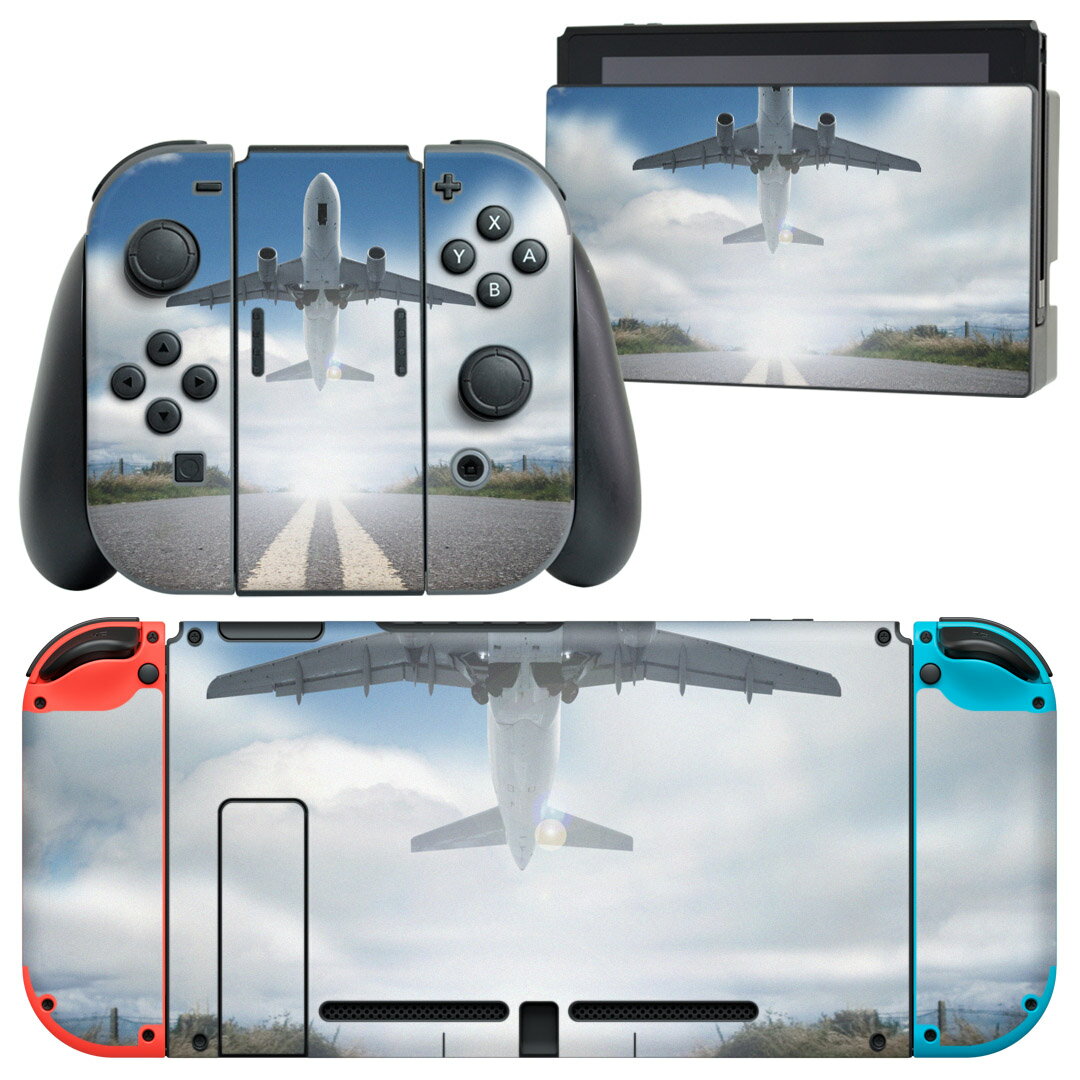 igsticker Nintendo Switch 用 デザインスキンシール 任天堂 ニンテンドー スイッチ 専用 本体ドック Joy-Con Joycon ジョイコン 専用 ゲーム機 カバー アクセサリー フィルム ステッカー 002941 写真 景色 風景