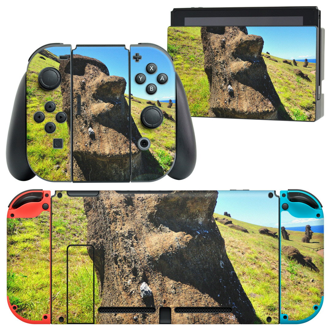 igsticker Nintendo Switch 用 デザインスキンシール 任天堂 ニンテンドー スイッチ 専用 本体ドック Joy-Con Joycon ジョイコン 専用 ゲーム機 カバー アクセサリー フィルム ステッカー 003283 クール 外国 写真 景色 風景