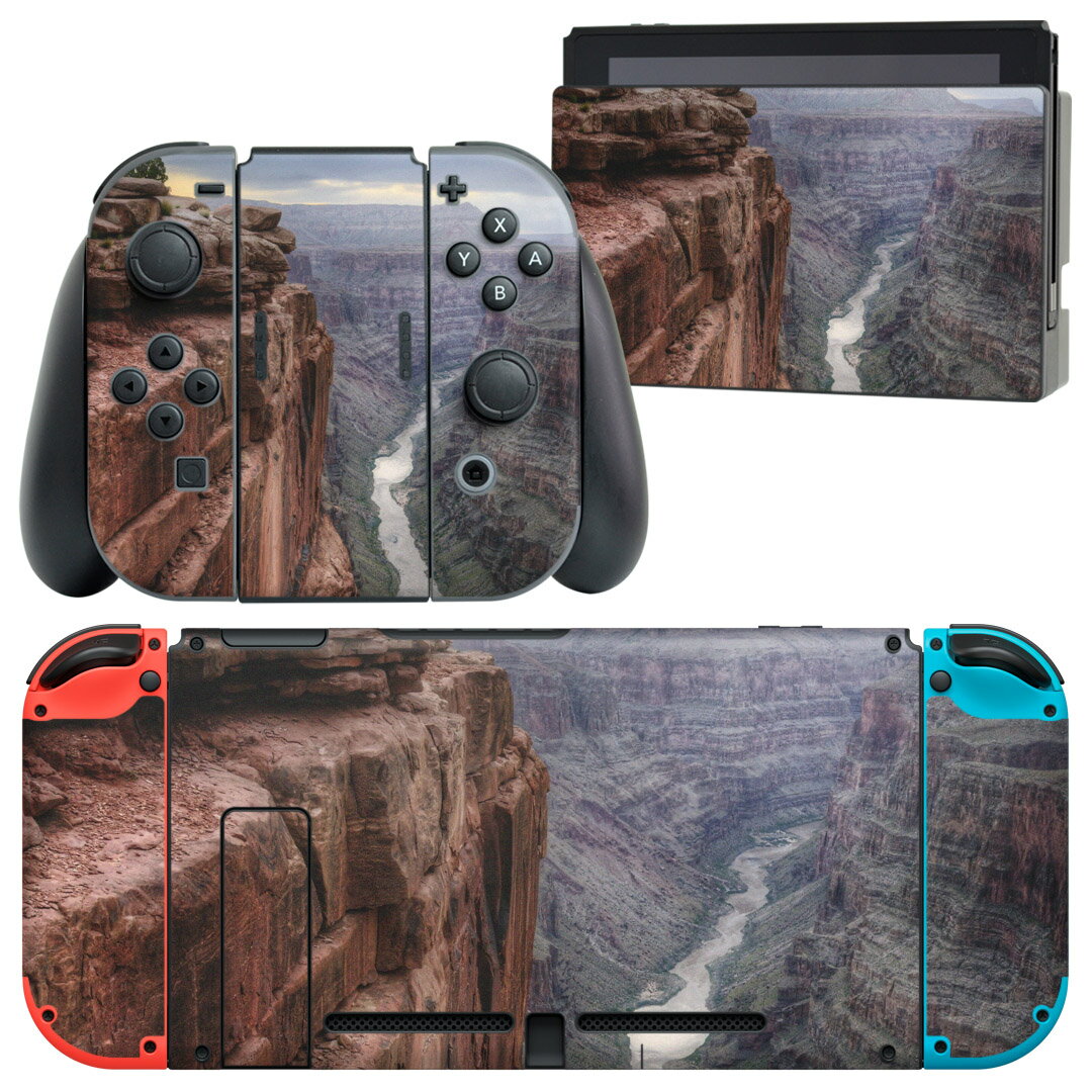 igsticker Nintendo Switch 用 デザインスキンシール 任天堂 ニンテンドー スイッチ 専用 本体ドック Joy-Con Joycon ジョイコン 専用 ゲーム機 カバー アクセサリー フィルム ステッカー 003297 クール 外国 写真 景色 風景