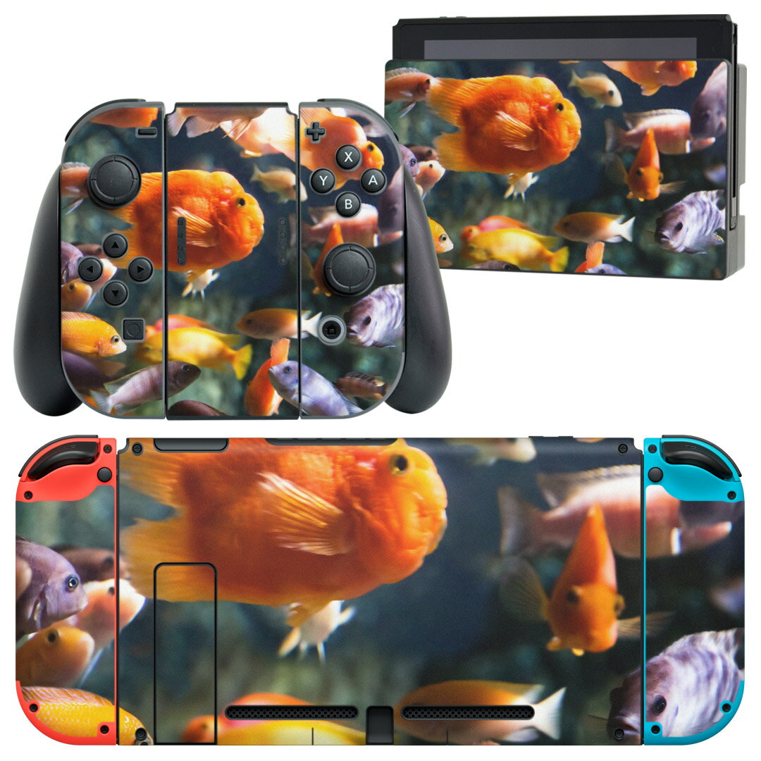 igsticker Nintendo Switch 用 デザインスキンシール 任天堂 ニンテンドー スイッチ 専用 本体ドック Joy-Con Joycon ジョイコン 専用 ゲーム機 カバー アクセサリー フィルム ステッカー 003538 魚　海　写真