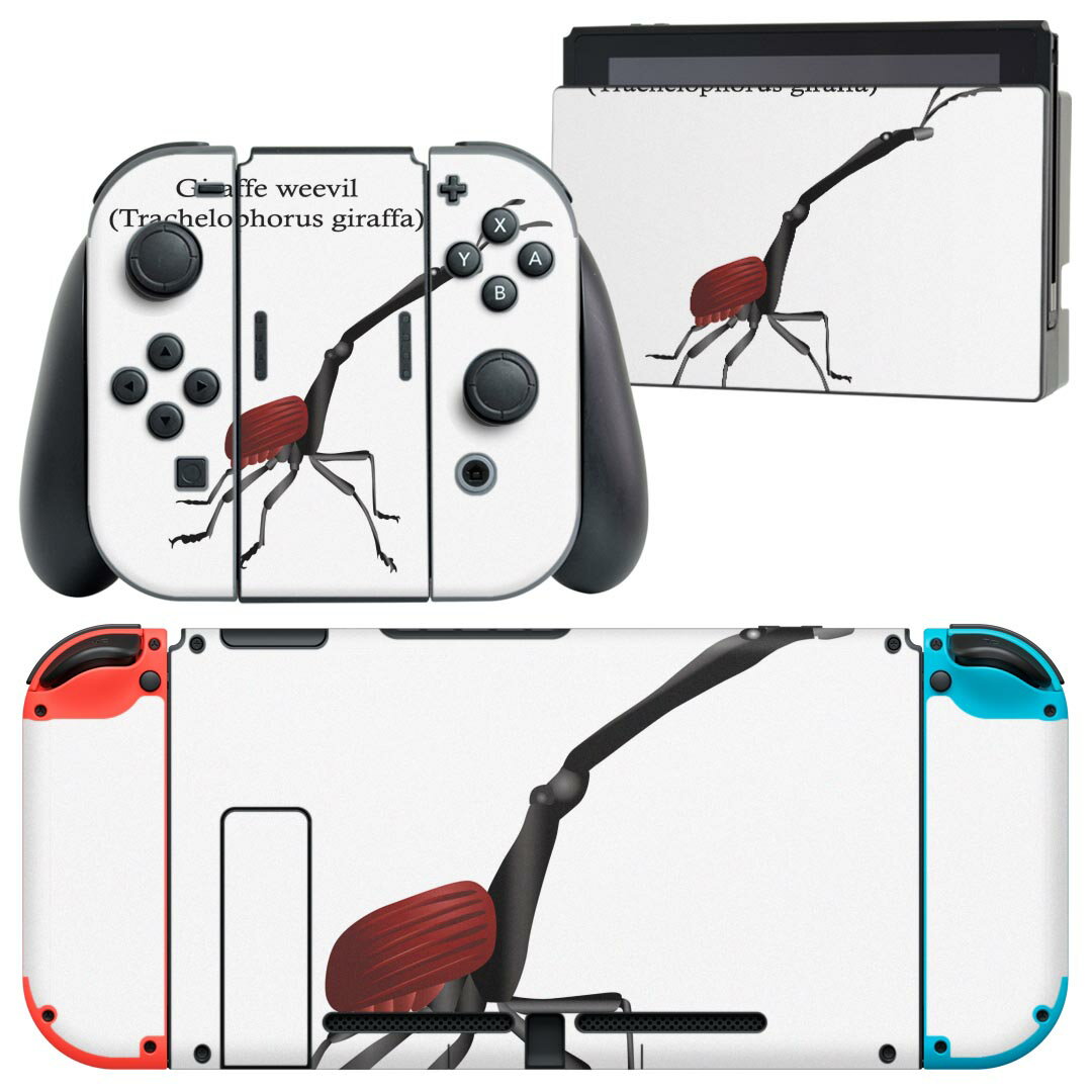 igsticker Nintendo Switch 用 デザインスキンシール 任天堂 ニンテンドー スイッチ 専用 本体ドック Joy-Con Joycon ジョイコン 専用 ゲーム機 カバー アクセサリー フィルム ステッカー 020018 虫 虫 giraffe weevil キリンクビナガオゾウムシ