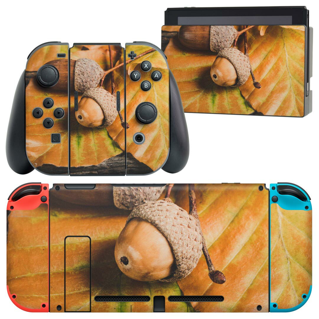 igsticker Nintendo Switch 用 デザインスキンシール 任天堂 ニンテンドー スイッチ 専用 本体ドック Joy-Con Joycon ジョイコン 専用 ゲーム機 カバー アクセサリー フィルム ステッカー 022839 葉っぱ　秋　写真