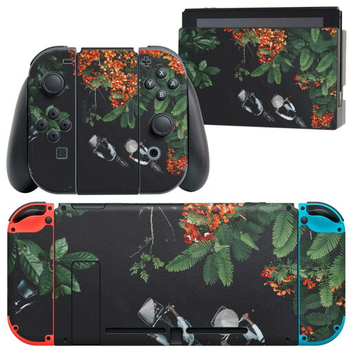 igsticker Nintendo Switch 用 デザインスキンシール 任天堂 ニンテンドー スイッチ 専用 本体ドック Joy-Con Joycon ジョイコン 専用 ゲーム機 カバー アクセサリー フィルム ステッカー 022841 写真 秋 自転車