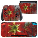 igsticker Nintendo Switch 用 デザインスキンシール 任天堂 ニンテンドー スイッチ 専用 本体ドック Joy-Con Joycon ジョイコン 専用 ゲーム機 カバー アクセサリー フィルム ステッカー 022855 写真 花 フラワー(2)
