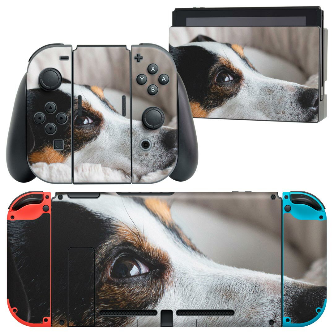 igsticker Nintendo Switch 用 デザインスキンシール 任天堂 ニンテンドー スイッチ 専用 本体ドック Joy-Con Joycon ジョイコン 専用 ゲーム機 カバー アクセサリー フィルム ステッカー 022865 犬 写真