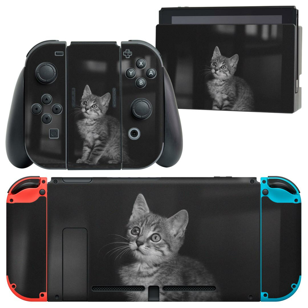 igsticker Nintendo Switch 用 デザインスキンシール 任天堂 ニンテンドー スイッチ 専用 本体ドック Joy-Con Joycon ジョイコン 専用 ゲーム機 カバー アクセサリー フィルム ステッカー 022866 猫 ねこ 写真