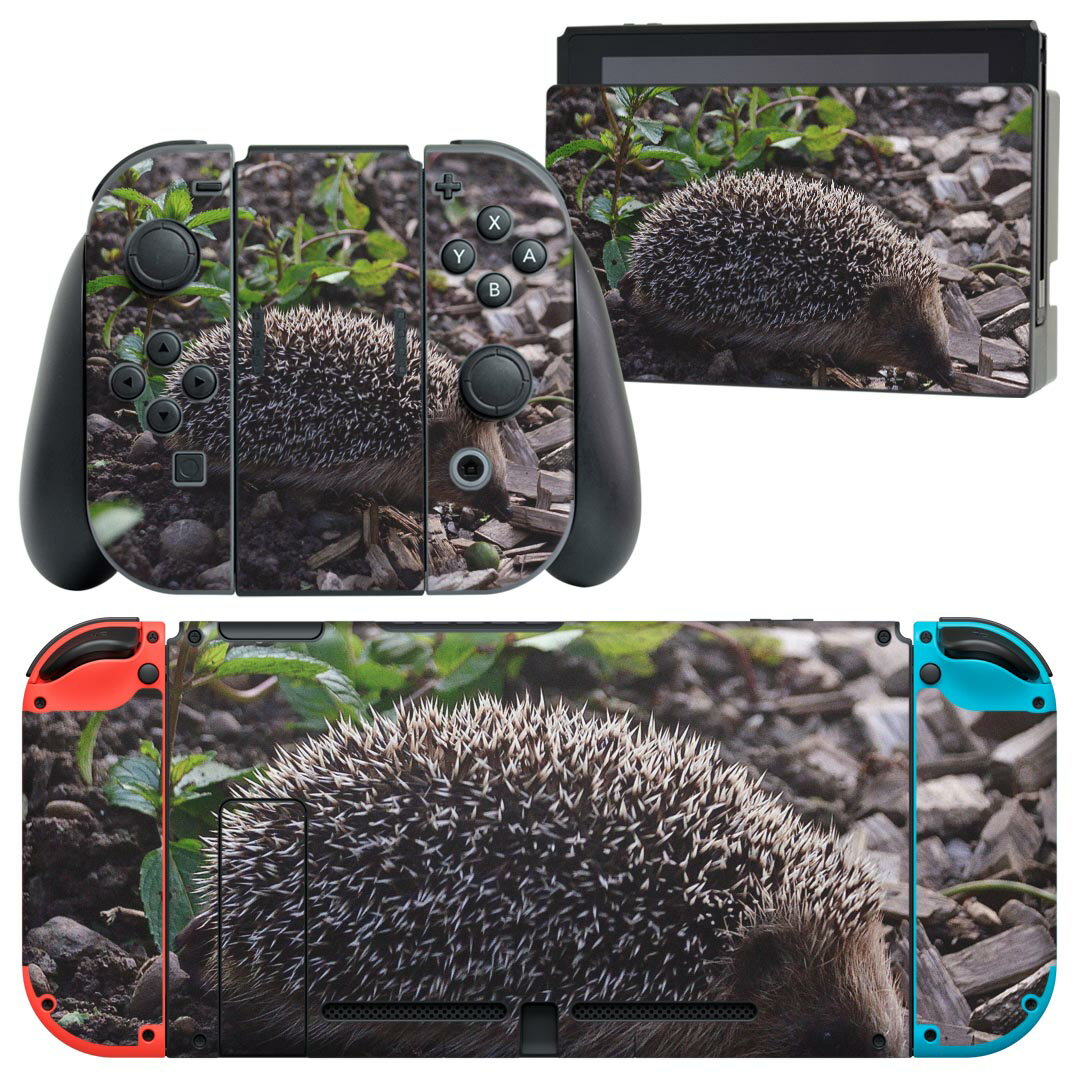 igsticker Nintendo Switch 用 デザインスキンシール 任天堂 ニンテンドー スイッチ 専用 本体ドック Joy-Con Joycon ジョイコン 専用 ゲーム機 カバー アクセサリー フィルム ステッカー 022867 ハリネズミ 写真