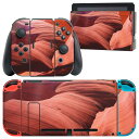 igsticker Nintendo Switch 用 デザインスキンシール 任天堂 ニンテンドー スイッチ 専用 本体ドック Joy-Con Joycon ジョイコン 専用 ゲーム機 カバー アクセサリー フィルム ステッカー 022871 岩(2)