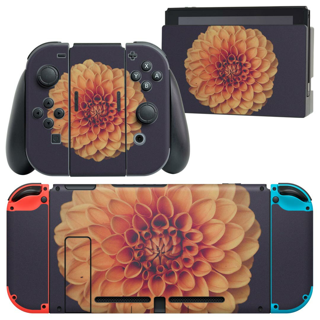 igsticker Nintendo Switch 用 デザインスキンシール 任天堂 ニンテンドー スイッチ 専用 本体ドック Joy-Con Joycon ジョイコン 専用 ゲーム機 カバー アクセサリー フィルム ステッカー 022891 花 写真