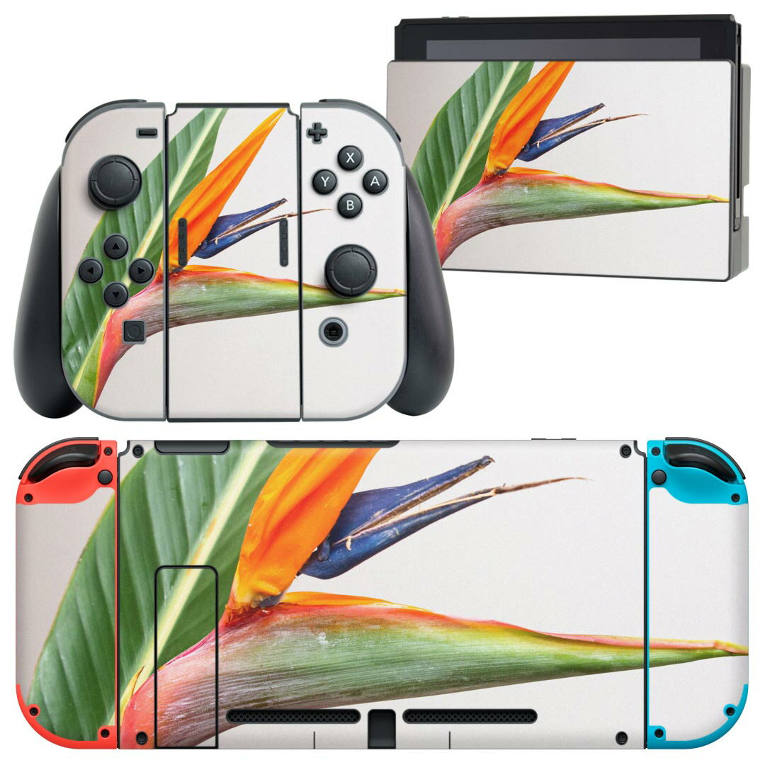 igsticker Nintendo Switch 用 デザインスキンシール 任天堂 ニンテンドー スイッチ 専用 本体ドック Joy-Con Joycon ジョイコン 専用 ゲーム機 カバー アクセサリー フィルム ステッカー 022987 花　カラフル　写真