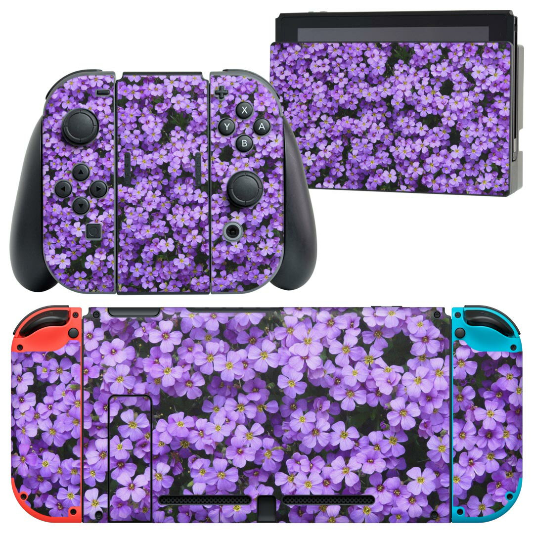 igsticker Nintendo Switch 用 デザインスキンシール 任天堂 ニンテンドー スイッチ 専用 本体ドック Joy-Con Joycon ジョイコン 専用 ゲーム機 カバー アクセサリー フィルム ステッカー 022997 花　写真　自然