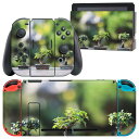 igsticker Nintendo Switch 用 デザインスキンシール 任天堂 ニンテンドー スイッチ 専用 本体ドック Joy-Con Joycon ジ...