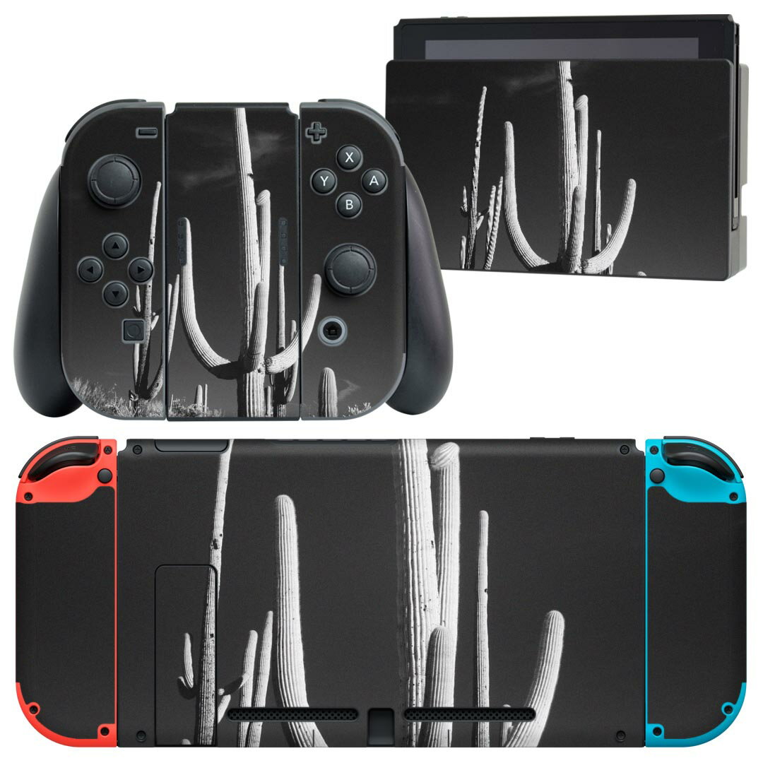 igsticker Nintendo Switch 用 デザインスキンシール 任天堂 ニンテンドー スイッチ 専用 本体ドック Joy-Con Joycon ジョイコン 専用 ゲーム機 カバー アクセサリー フィルム ステッカー 023052 サボテン モノクロ 写真