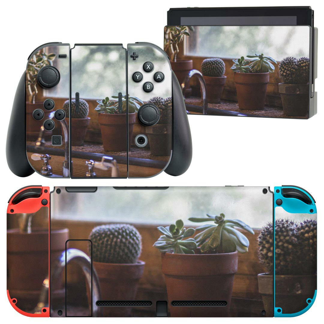 igsticker Nintendo Switch 用 デザインスキンシール 任天堂 ニンテンドー スイッチ 専用 本体ドック Joy-Con Joycon ジョイコン 専用 ゲーム機 カバー アクセサリー フィルム ステッカー 023053 サボテン 植物 写真