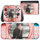 igsticker Nintendo Switch 用 デザインスキンシール 任天堂 ニンテンドー スイッチ 専用 本体ドック Joy-Con Joycon ジョイコン 専用 ゲーム機 カバー アクセサリー フィルム ステッカー 023080 猫　ねこ　動物　写真