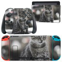 igsticker Nintendo Switch 用 デザインスキンシール 任天堂 ニンテンドー スイッチ 専用 本体ドック Joy-Con Joycon ジョイコン 専用 ゲーム機 カバー アクセサリー フィルム ステッカー 023094 猫 ねこ 動物 写真(2)