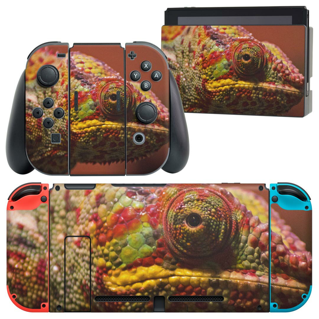 igsticker Nintendo Switch 用 デザインスキンシール 任天堂 ニンテンドー スイッチ 専用 本体ドック Joy-Con Joycon ジョイコン 専用 ゲーム機 カバー アクセサリー フィルム ステッカー 023101 イグアナ 写真 カラフル