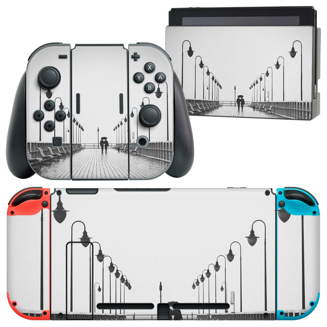 igsticker Nintendo Switch 用 デザインスキンシール 任天堂 ニンテンドー スイッチ 専用 本体ドック Joy-Con Joycon ジョイコン 専用 ゲーム機 カバー アクセサリー フィルム ステッカー 023170 風景　モノクロ　写真